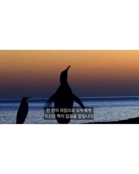 연인과 헤어졌을 때 쓰기 좋은 프사 | 인스티즈