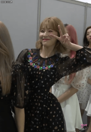 음악방송 녹화때마다 팬들 응원소리 버프시키는 백지헌 | 인스티즈