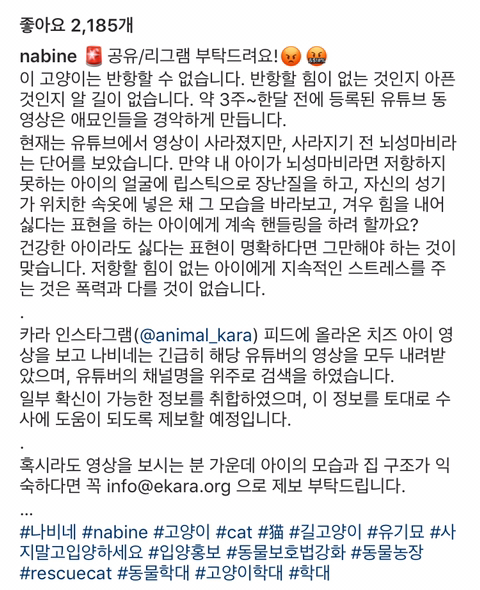 경악스러운 유튜브 고양이 학대범.gif | 인스티즈