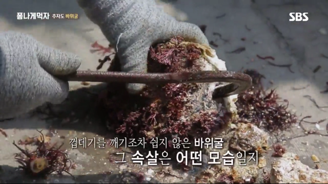 추자도 바위굴 먹는 트와이스 정연X다현.jpg | 인스티즈