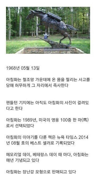 6.25전쟁때 활약한 군마 | 인스티즈