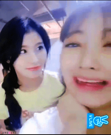 지효한테 사랑받고 싶은 사나 .gif | 인스티즈