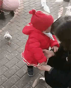비둘기 모이 주는 아기.gif | 인스티즈