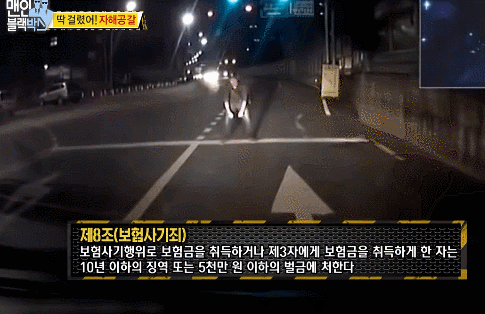 블랙박스의 중요성.gif | 인스티즈