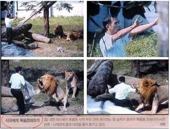 사자에게 복음 전파 | 인스티즈