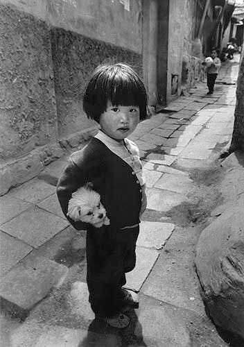 1970년대...한국의 댕댕이들....jpg | 인스티즈