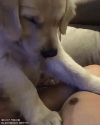 ??? : 이놈도 모유 나오나 | 인스티즈