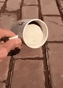 쏟아지지 않는 커피.gif | 인스티즈