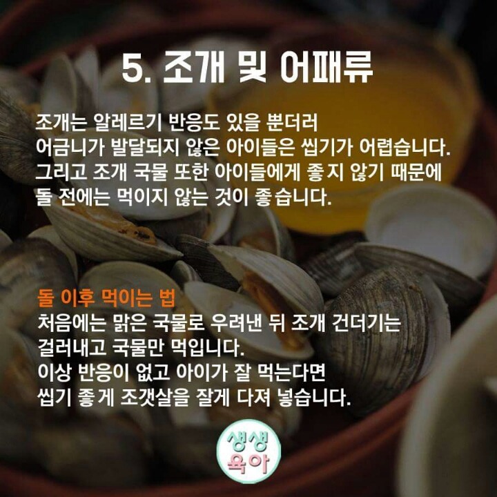 돌전에 먹이면 안되는 음식 10가지 | 인스티즈