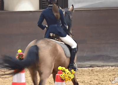 2019 추석 아육대 초대 승마 금메달리스트 프로미스나인 박지원.GIF | 인스티즈