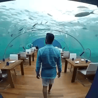 몰디브 수중 식당.gif | 인스티즈