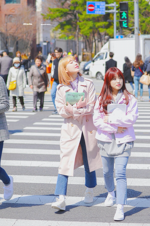 월요병 극복을 위한 아이즈원 랜덤짤 6 | 인스티즈