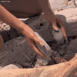 원시시대 불 피우는 방법.gif | 인스티즈