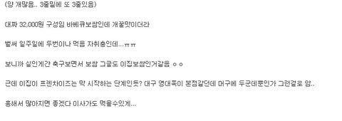 32,000원짜리 배달보쌈 ㄷㄷ.jpg | 인스티즈