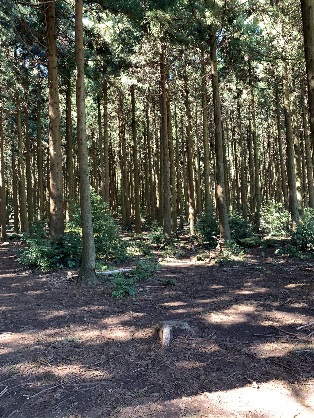 제주도 여행 마지막 날.. | 인스티즈