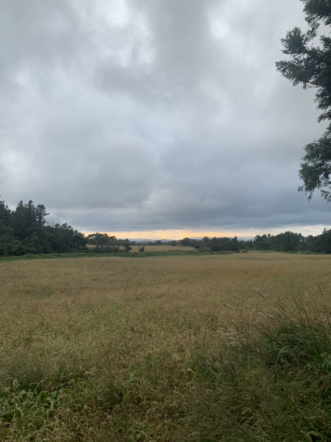 제주 여행 첫째날 | 인스티즈