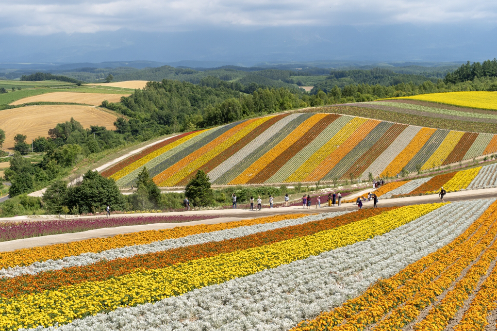 2018년 찍었던 사진 중 맘에 드는 것들 | 인스티즈