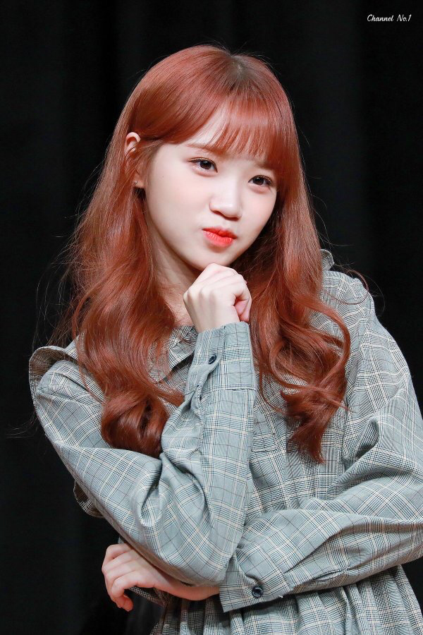 [아이즈원] 저는 겨울을 제일 좋아해서 채원이 | 인스티즈