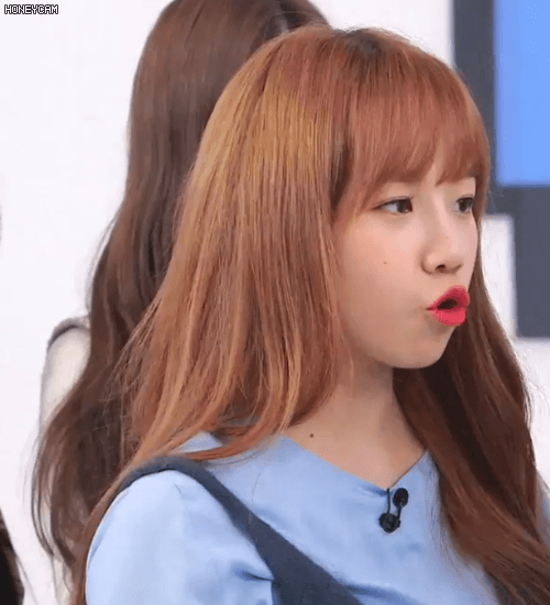 아이즈원 쪼율.jpgif | 인스티즈