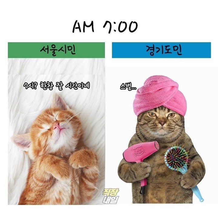 서울시민 vs 경기도민 | 인스티즈