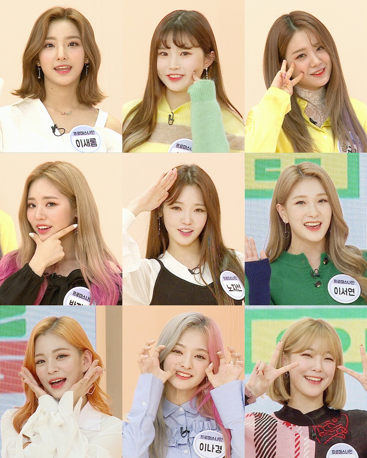 9분할 프로미스나인 | 인스티즈