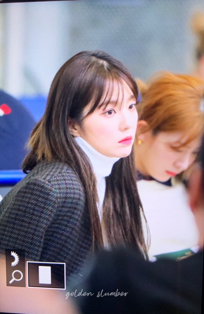 우연히(?) 다미아니 CEO와 사진찍고 파리로 이동한 레드벨벳 아이린 | 인스티즈