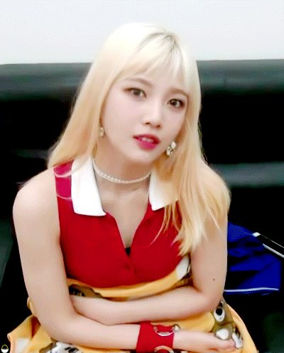 조이랑 아이컨택 하고 가세요.gif | 인스티즈