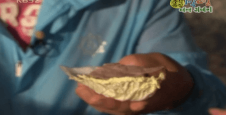 이 중 먹방 원탑은 누구?(다수 움짤 데이터 주의) | 인스티즈