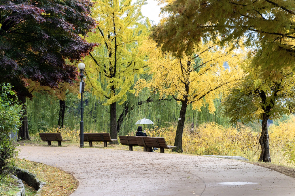 2018년 찍었던 사진 중 맘에 드는 것들 | 인스티즈
