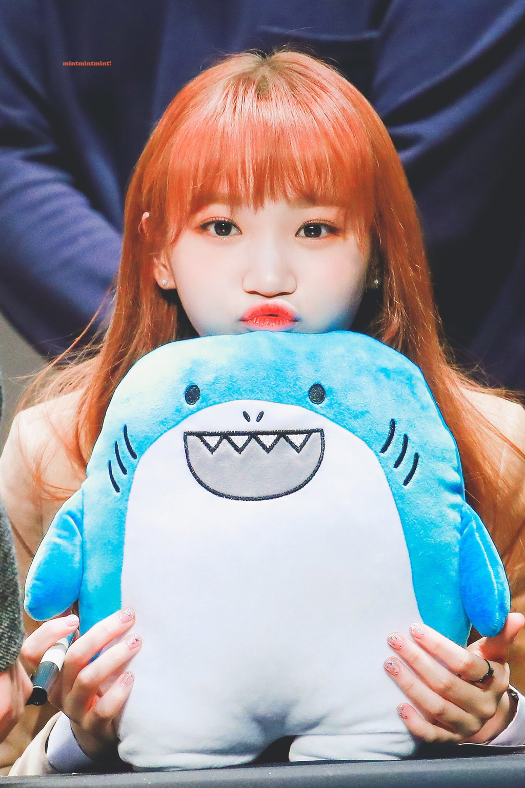 [아이즈원] 정수기 물이 떨어져서 채원이 | 인스티즈