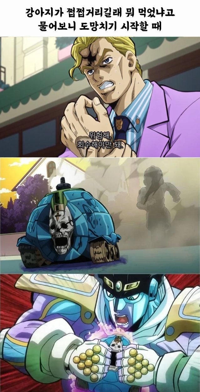 강아지가 쩝쩝거릴 때 | 인스티즈