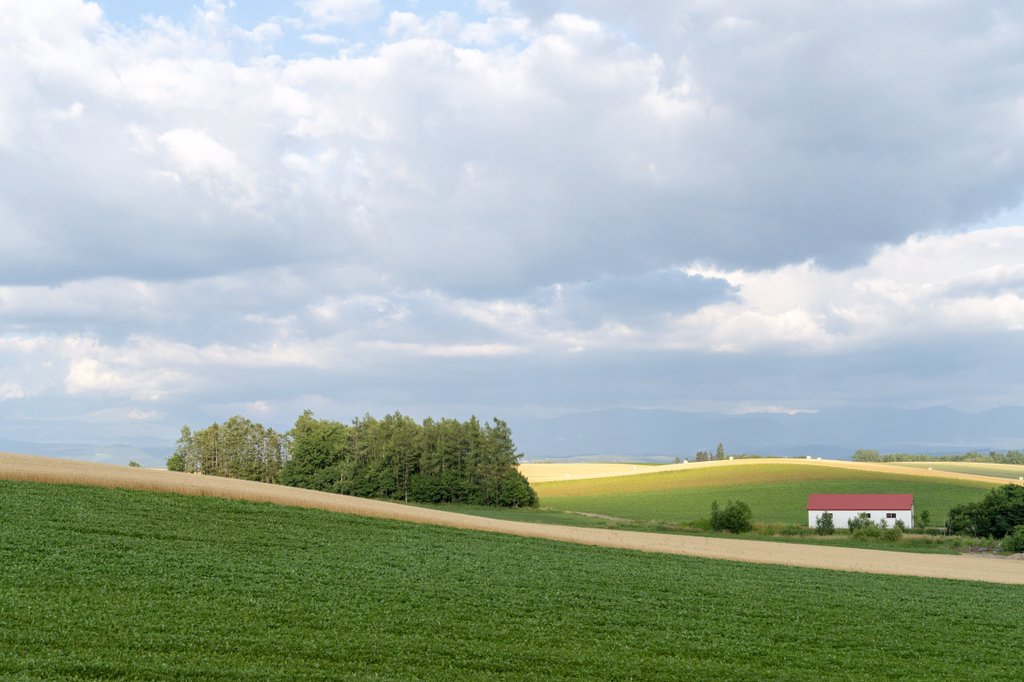 2018년 찍었던 사진 중 맘에 드는 것들 | 인스티즈