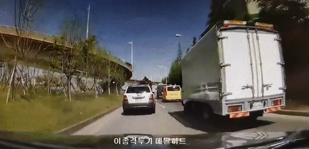 운전하다 날벼락.gif | 인스티즈
