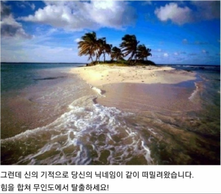 당신은 무인도에 표류 됐습니다 | 인스티즈