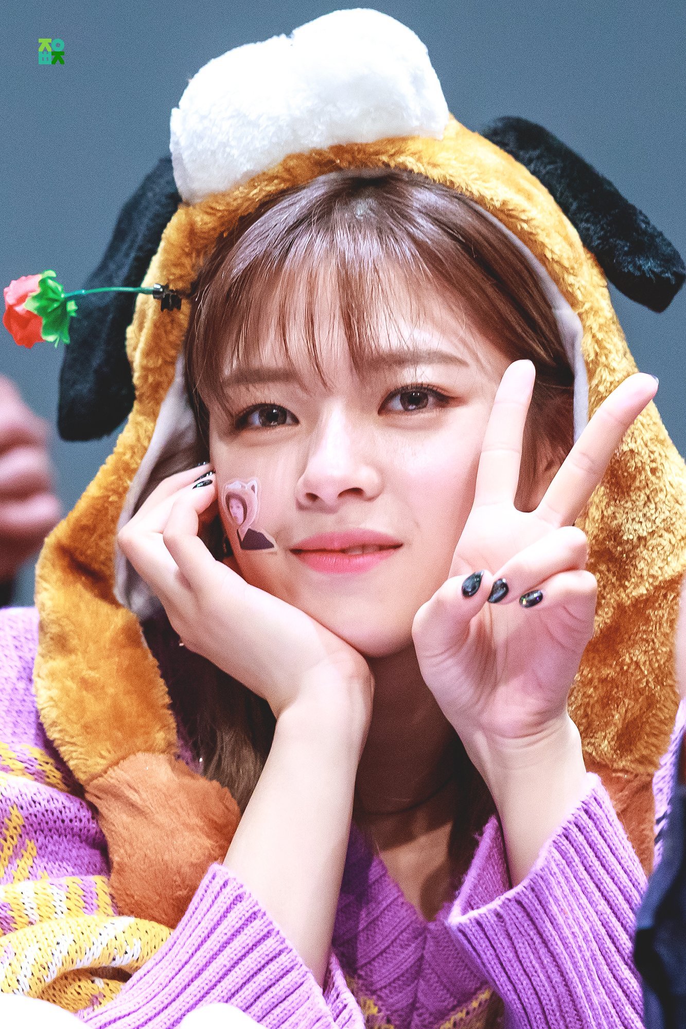 최근 트와이스 정연이의 미모.jpgif | 인스티즈
