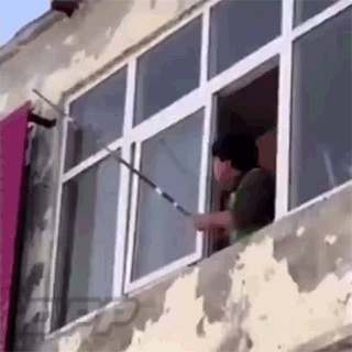 벌집 제거 대참사 | 인스티즈