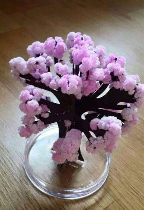 종이에서 피는 벚꽃 | 인스티즈