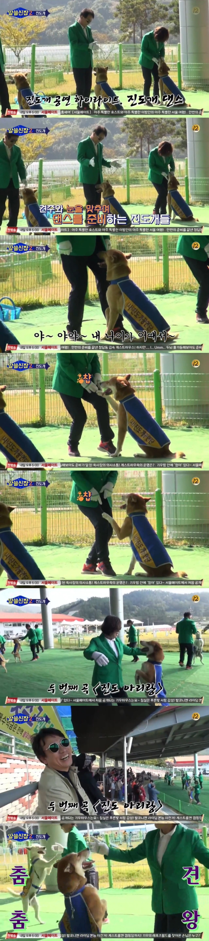 유시민 작가가 알쓸신잡에서 진도를 소개한 이유 | 인스티즈