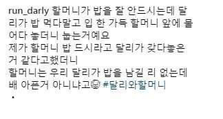강아지가 밥을 안먹은 이유 | 인스티즈