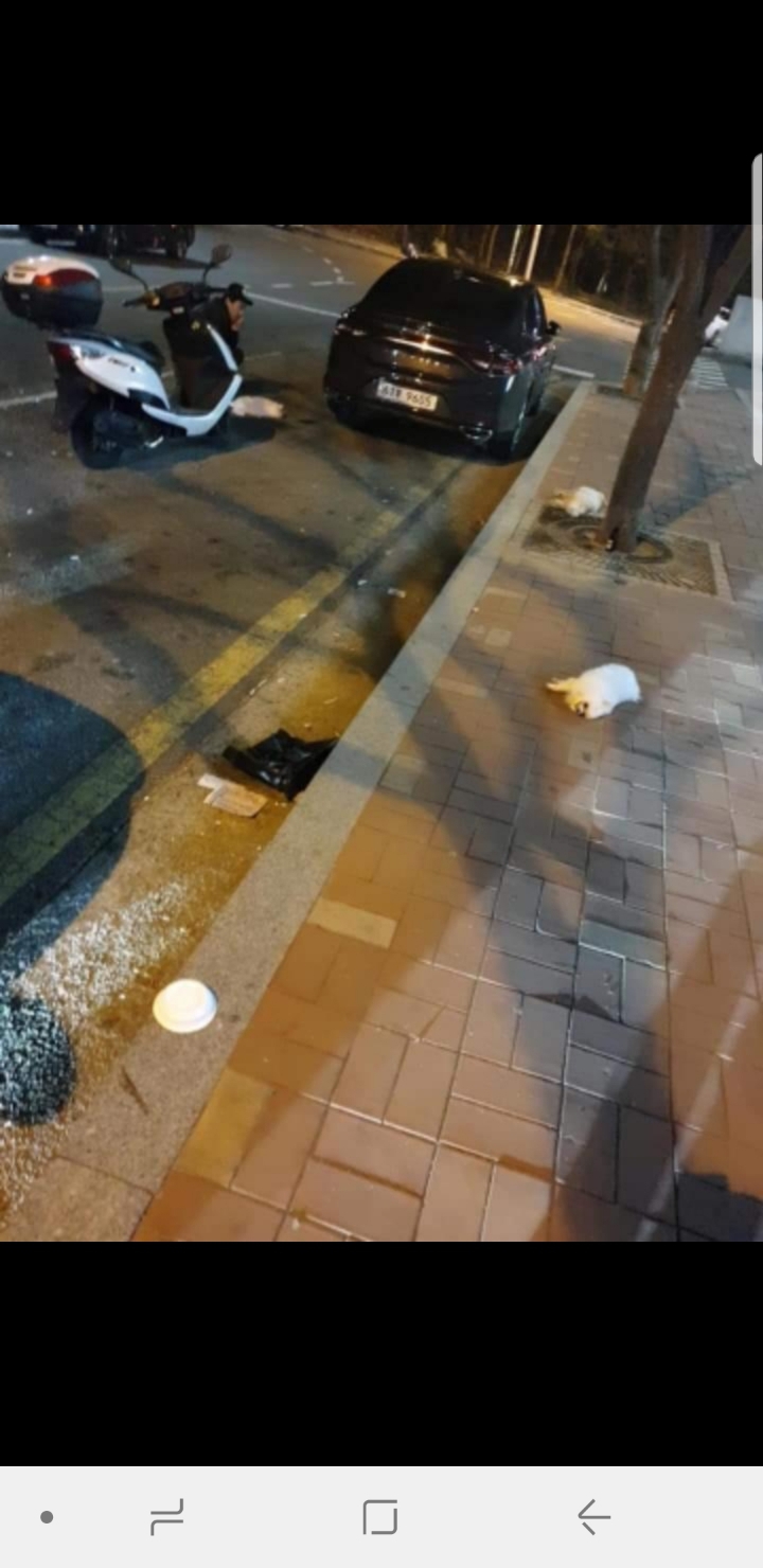 어제자 해운대 미친 동물학대 | 인스티즈