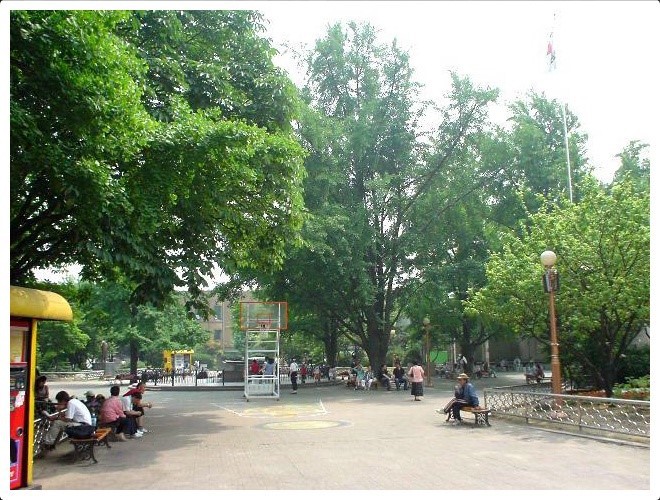 2004년 6월 종로구 혜화동.jpg | 인스티즈