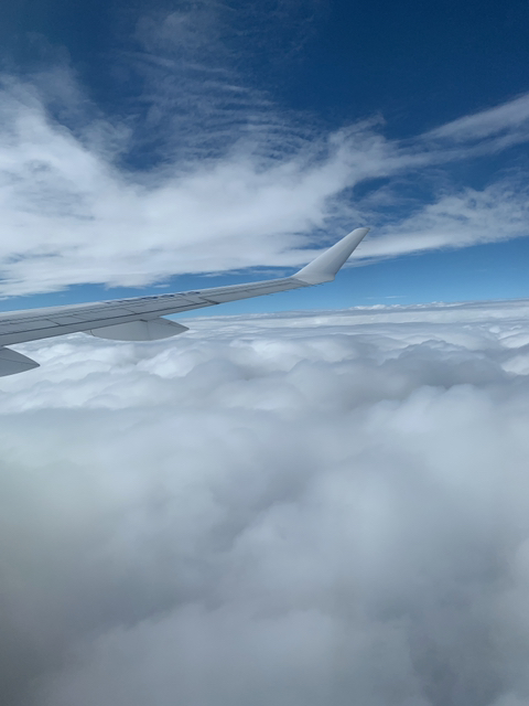 제주 여행 첫째날 | 인스티즈