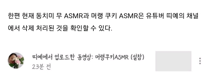 화제의 초등학생 유투버가 신고 테러를 당한 이유.jpg | 인스티즈