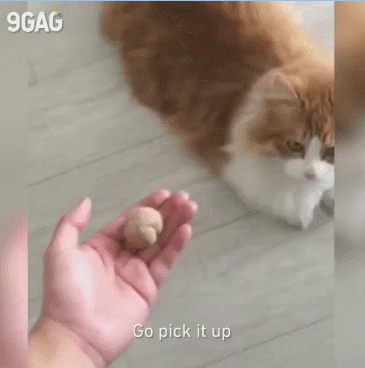 이제 너 차례야!!.gif | 인스티즈