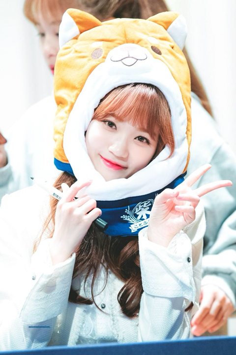 아이즈원) 시바쌈무 고화질 | 인스티즈