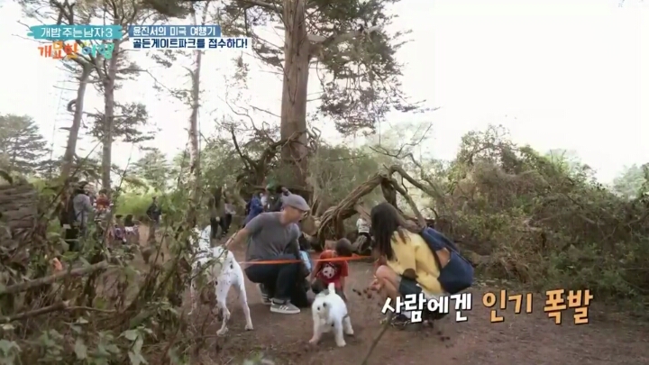 미국여행 간 진돗개의 인기.jpg | 인스티즈