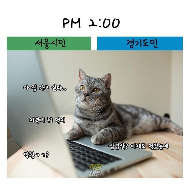 서울시민 vs 경기도민 | 인스티즈