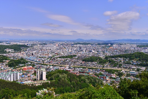 두 도시중 한곳에서 살아야한다면? 광주 vs 전주 | 인스티즈