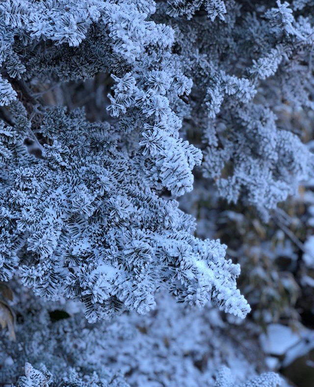 김남희 아나 인스타 | 인스티즈