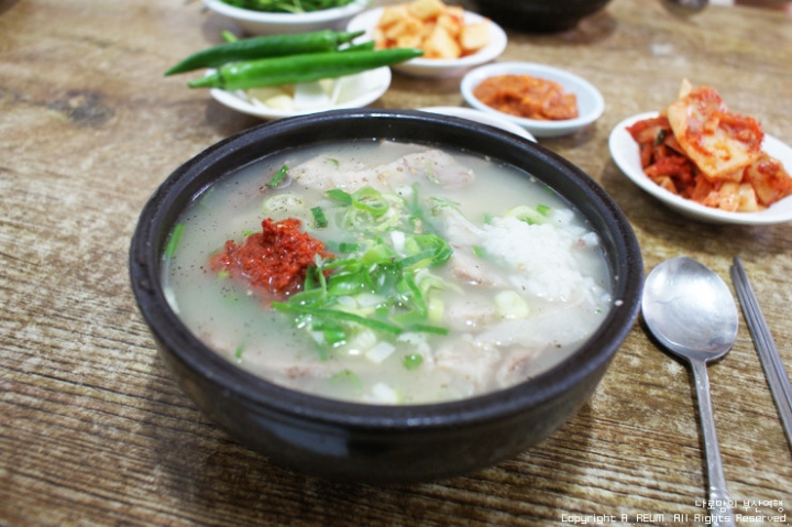 둘 중 하나를 선택하고 평생 국밥을 먹을 수 있다면 선택은? | 인스티즈